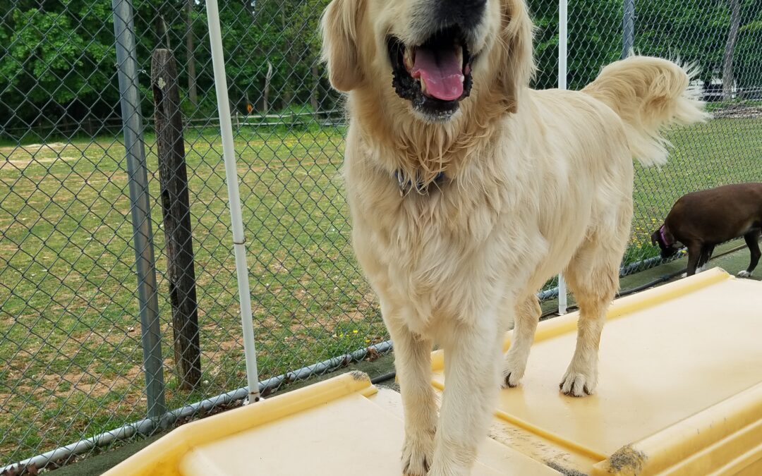 5/6/2026 Playtime! :)