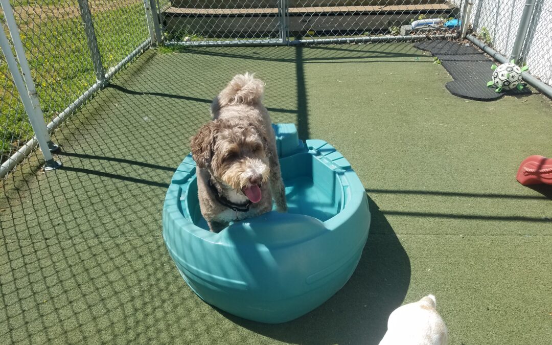 5/16/2026 Playtime Pics!!