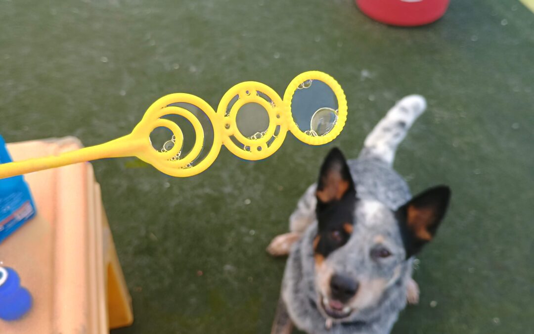 05/18/2026 Bubbles, Scatter Treats, Weave Cones! :)