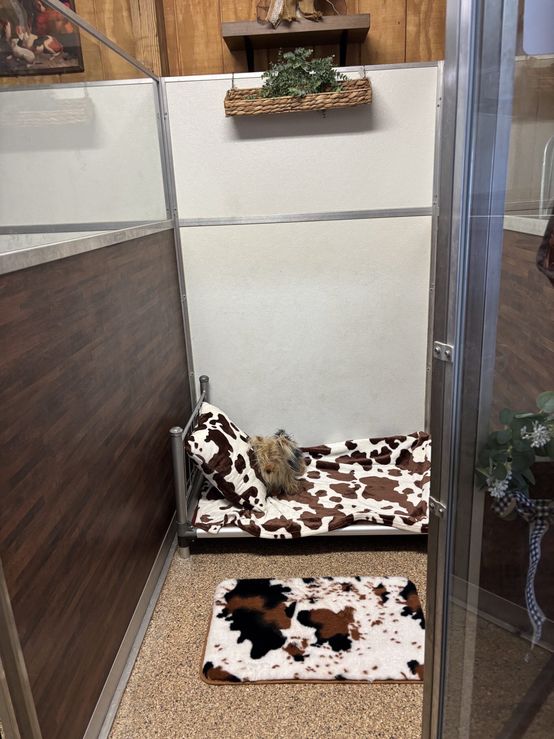 Dog boarding suite at Dogs on the Farm and Cats Pet Resort 