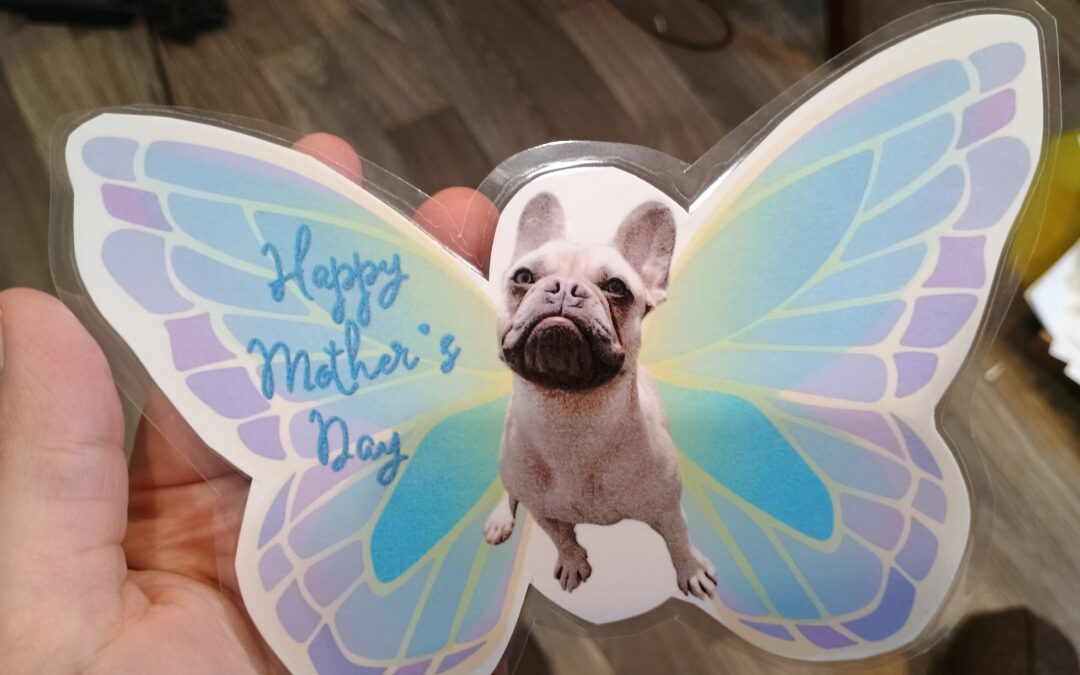 Mother’s Day Photos 2026