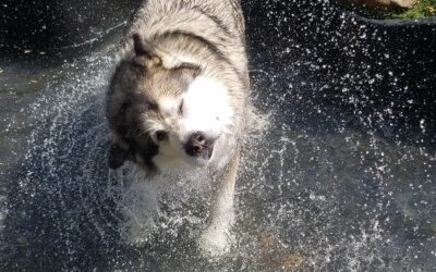 6/7/2026 Playtime Pics!! :)