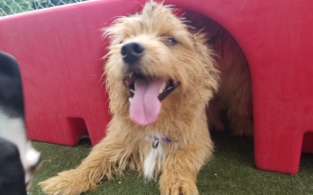 Playtime Pic’s ! :) 6-18-2026