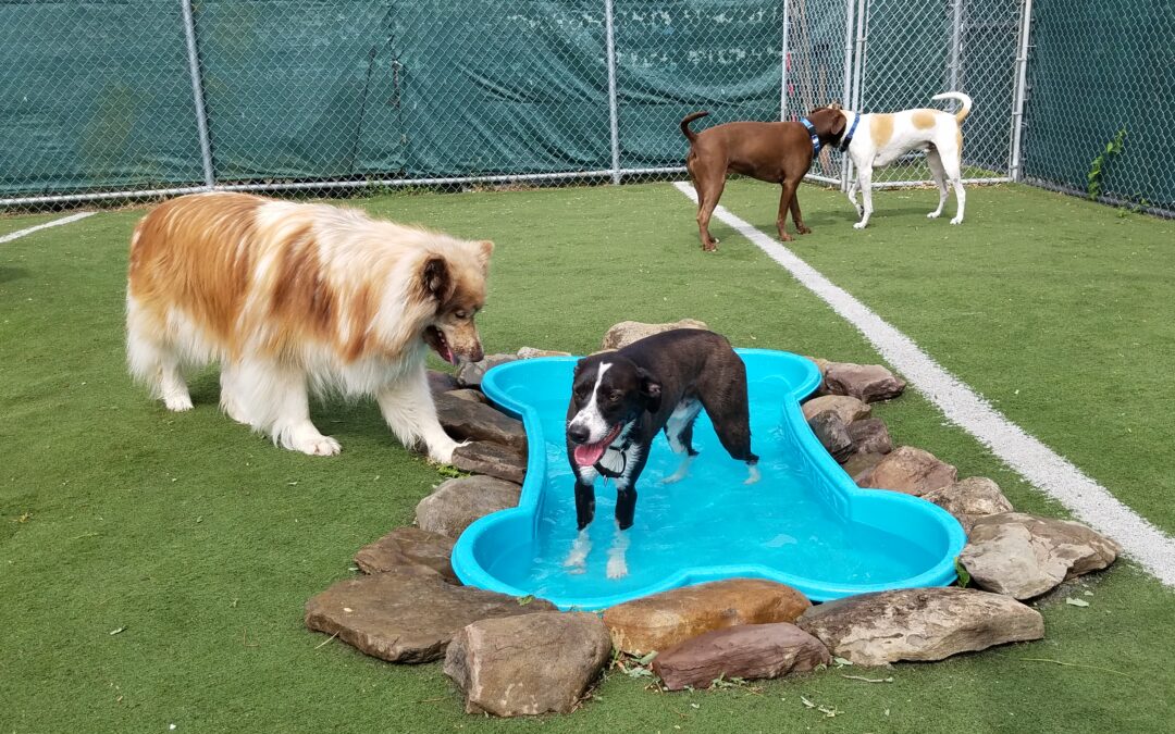 6-19-26 Playtime! :)