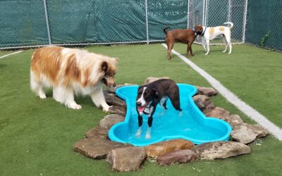 6-19-26 Playtime! :)