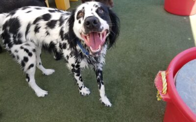 06/24/2026 Playtime! :