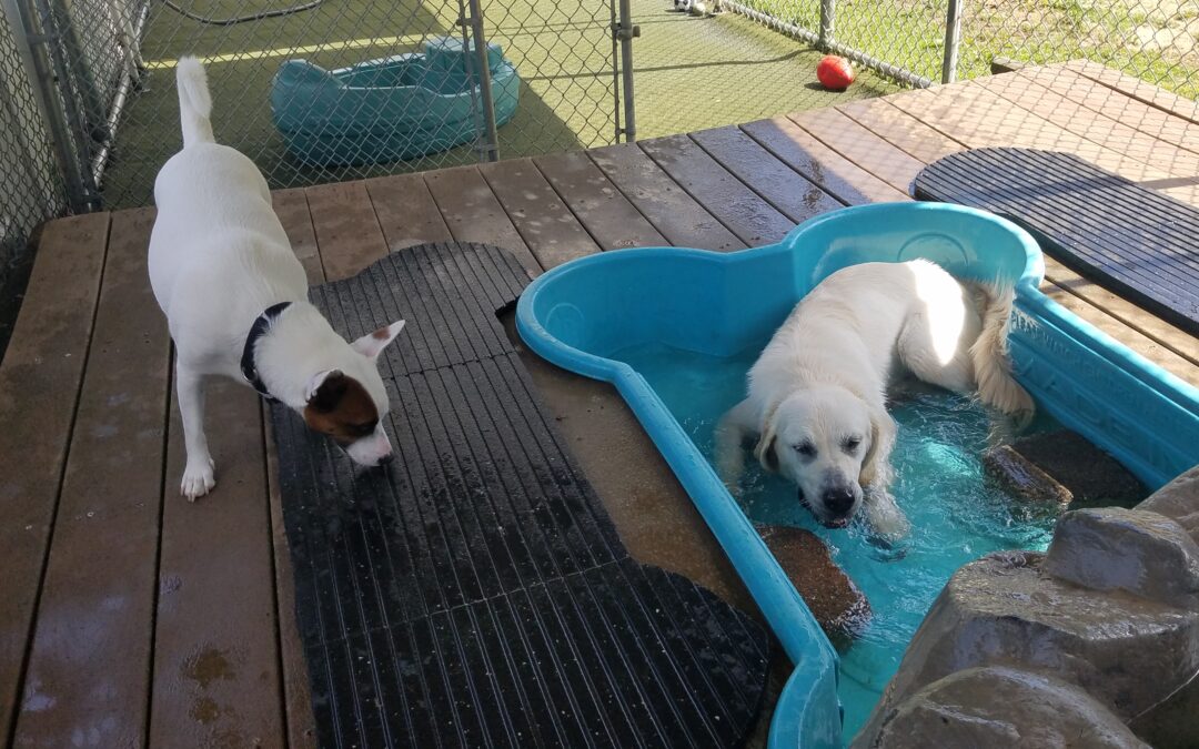6-25-26 Playtime! :)