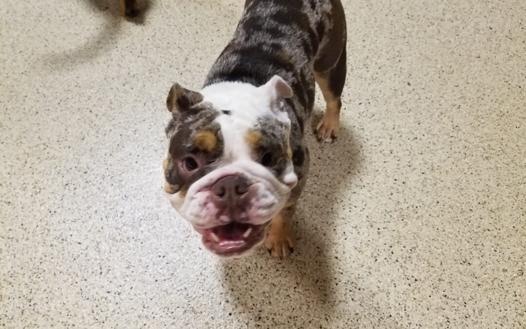 7/5/2026 Playtime Pics!!