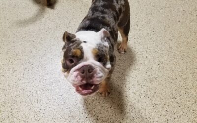 7/5/2026 Playtime Pics!!