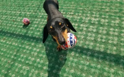 7-9-26 Playtime! :)