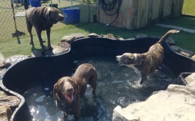 7-26-26 Playtime! :)