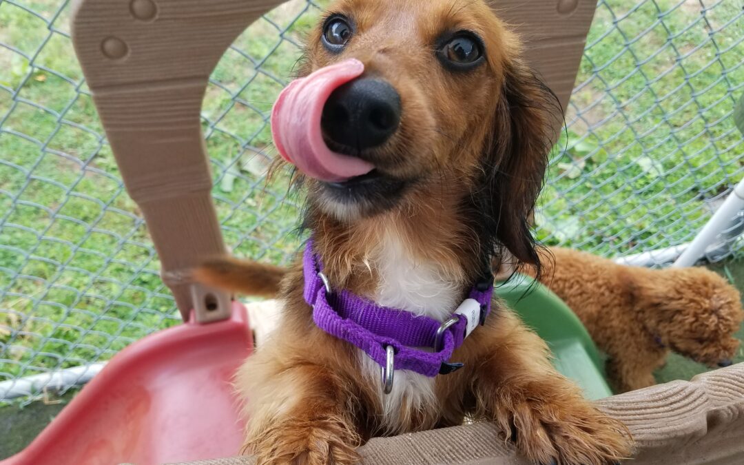 7-29-2026 playtime :)