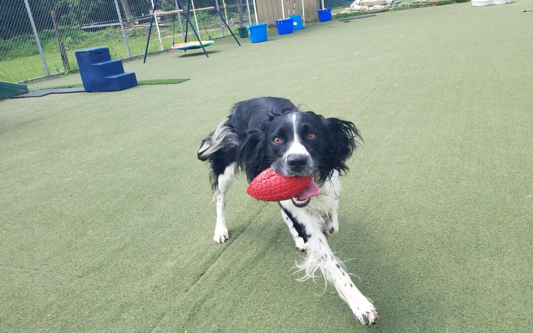 8-13-26 Playtime! :)