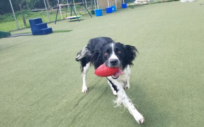 8-13-26 Playtime! :)