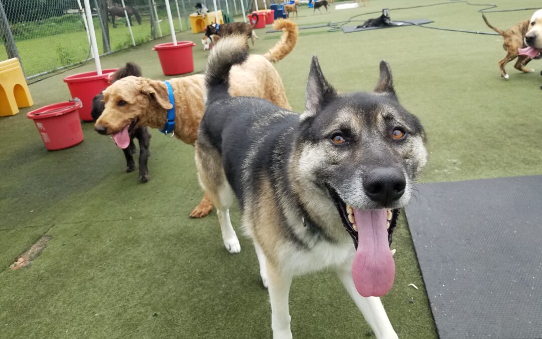 8-18-26 playtime! :)