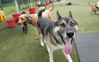 8-18-26 playtime! :)