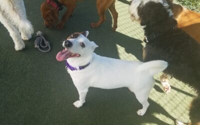 8-19-26 playtime :)