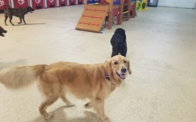 Playtime! :) 8/25/26