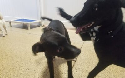 8-28-26 Playtime! :)