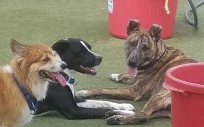 8-30-26 Playtime! :)
