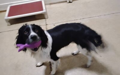 8-24-26 Playtime! :)