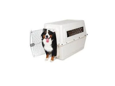 dog standing in sleeping condo crate at Dogs On the Farm near Shrewsbury, NJ