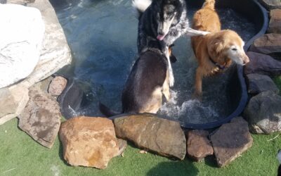 9-5-26 Playtime! :)
