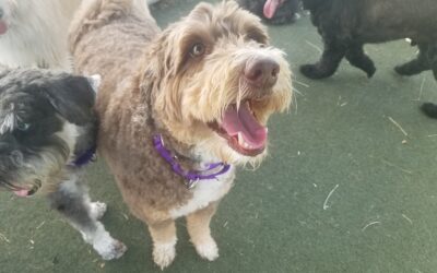 9-6-26 Playtime! :)