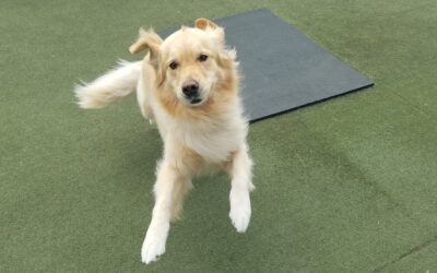 9-19-26 Playtime! :)