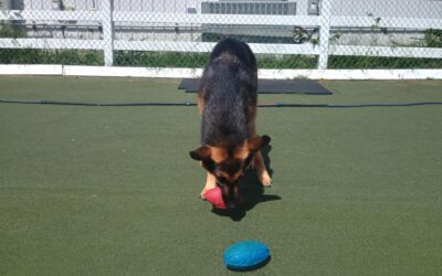 9-4-26 Afternoon Activities! :)