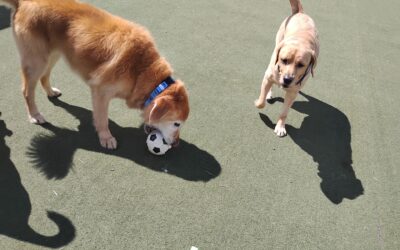 9-11-26 Afternoon Activities! :)