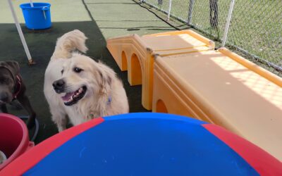 9-21-26 Afternoon Activities! :)