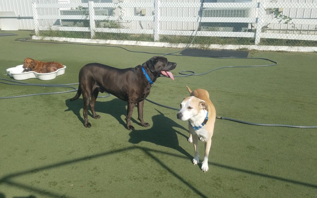 10-2-26 Playtime! :)