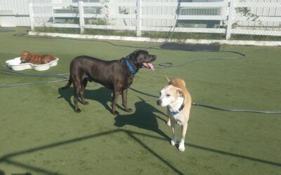10-2-26 Playtime! :)
